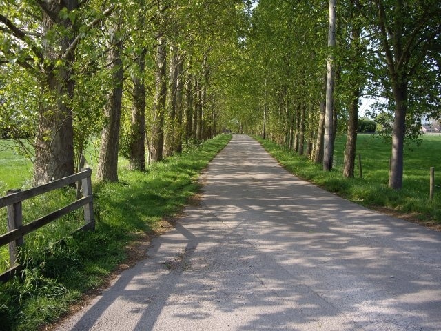 Lane by Cockshades Farm This lane is at the end of a footpath between Wynbunbury and Shavington, it leads onto Stock Lane