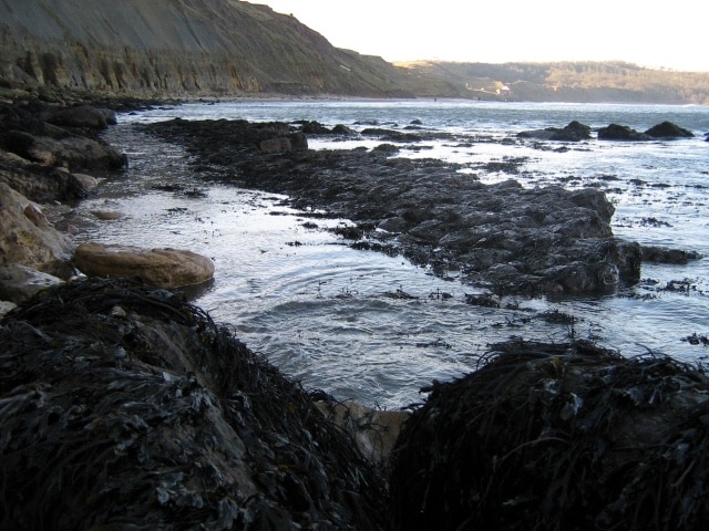 Photo "Lebberston" by Malcolm Campbell (CC BY-SA) / Cropped from original