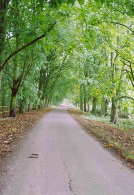 The Avenue, Leysters.