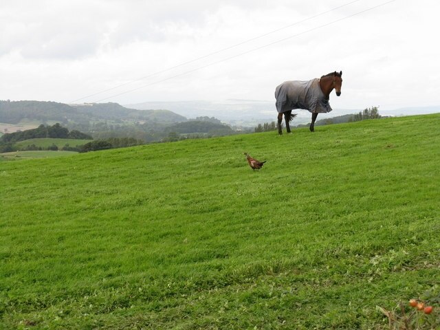 "Shelsley Beauchamp"-foto av Whatlep (CC BY-SA) / Urklipp från original