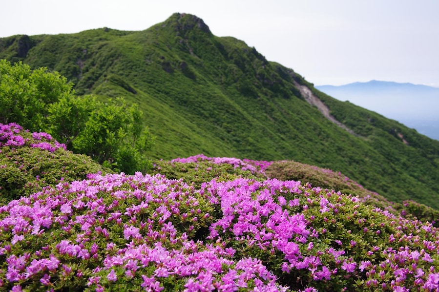 大船山