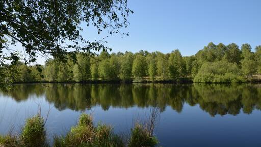 Photo "Welmbüttel" by Nightflyer (CC BY-SA) / Cropped from original