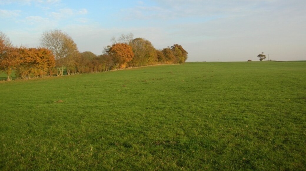 Foto “Holtby” tomada por DS Pugh (CC BY-SA); recorte de la original