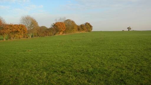 Kuva ”Holtby” käyttäjältä DS Pugh (CC BY-SA) / rajattu alkuperäisestä kuvasta