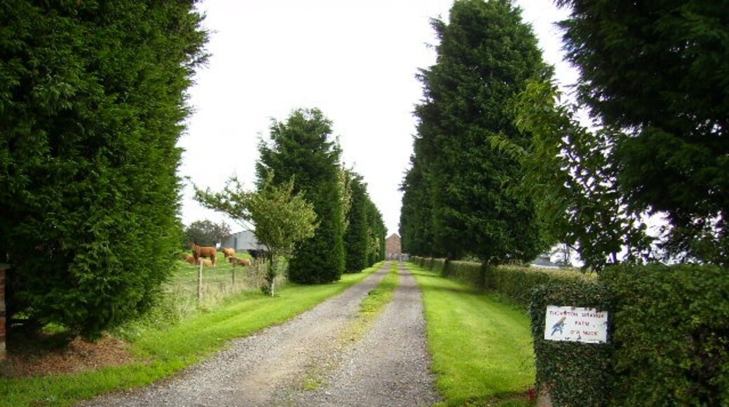 "Thornton-le-Clay"-foto av Phil Catterall (CC BY-SA) / Urklipp från original