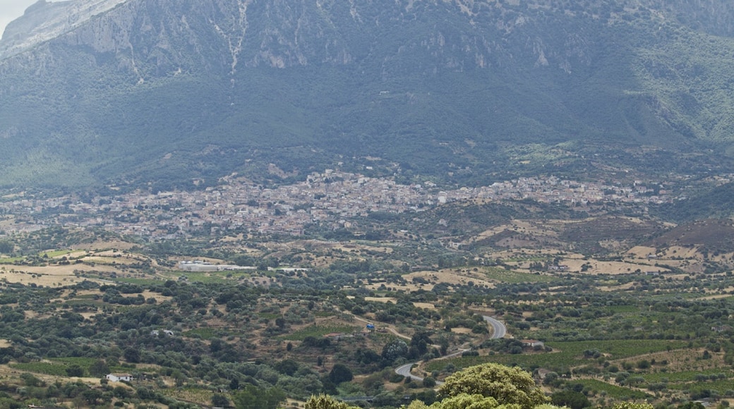 Photo "Nuoro" by trolvag (CC BY-SA) / Cropped from original