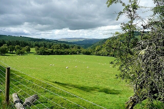 Pasture at Gwern-yr-ewig The northern part of the square is sheep pasture belonging to the farm of Gwern-yr-ewig. This is taken from the forest road, one of many within Penllyn Forest.