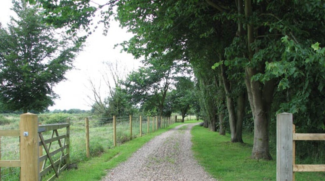 Foto „Bracon Ash“ von Evelyn Simak (CC BY-SA)/zugeschnittenes Original