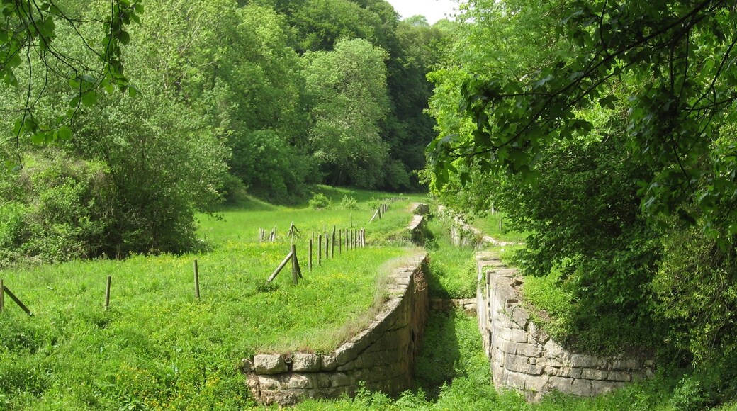 Foto "Southstoke" por Robert Powell (CC BY-SA) / Recortada de la original