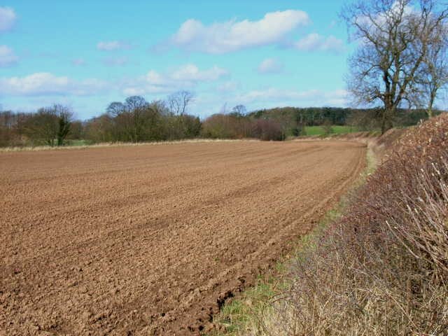 Ploughed field. Near Bramper Farm, Thrintoft