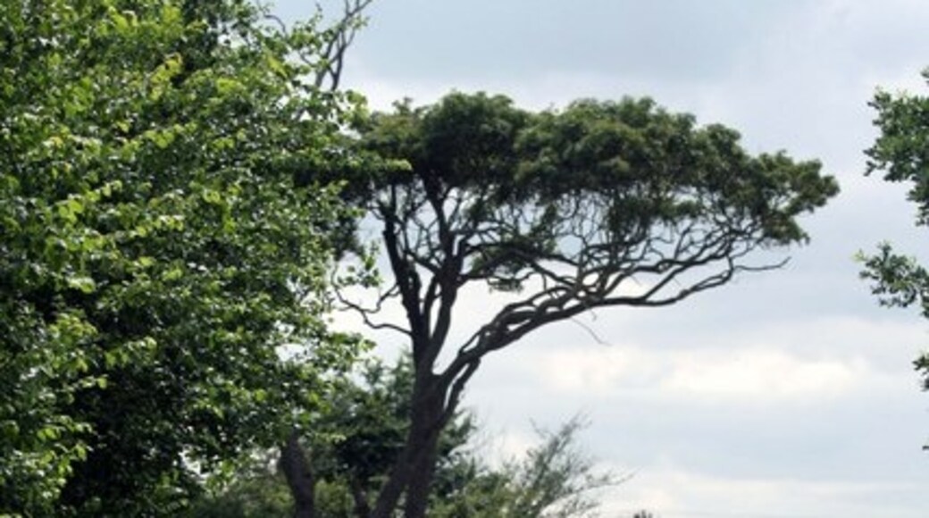 Ảnh "Làng Stratton Hall" của roger geach (CC BY-SA) / Cắt từ ảnh gốc