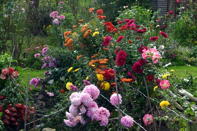 Floral display Floral display in a private garden next to Cleobury North village stores