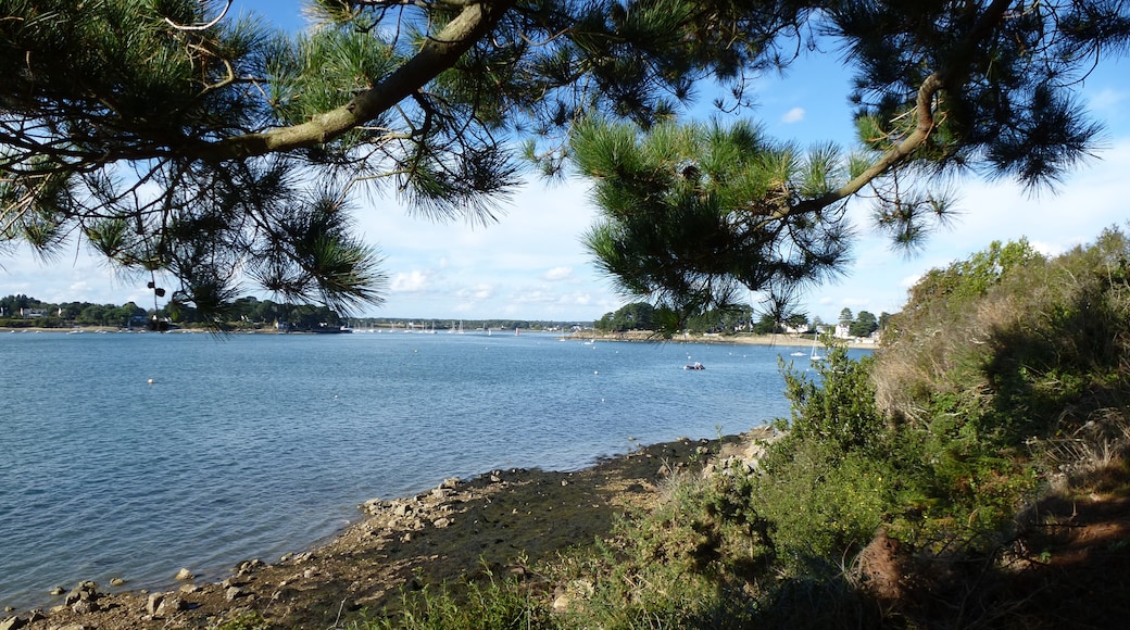Foto “Île-aux-Moines” tomada por chisloup (CC BY); recorte de la original