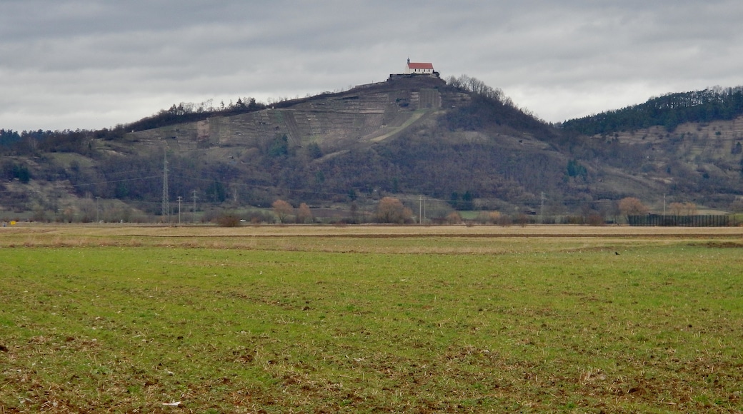 Photo "Rottenburg" by qwesy qwesy (CC BY) / Cropped from original