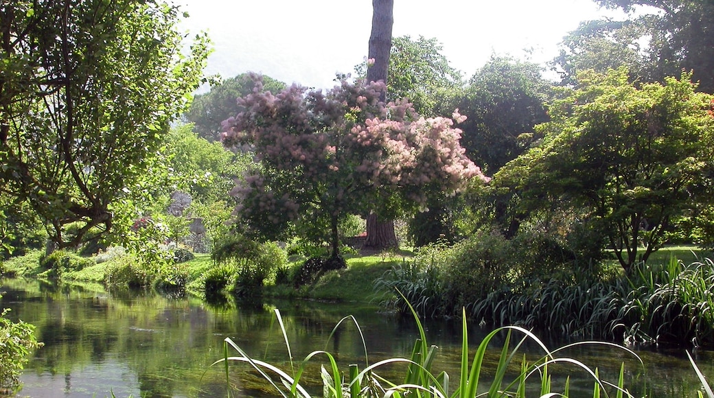 Photo "Gardens of Ninfa" by Rita batacchi (page does not exist) (CC BY-SA) / Cropped from original