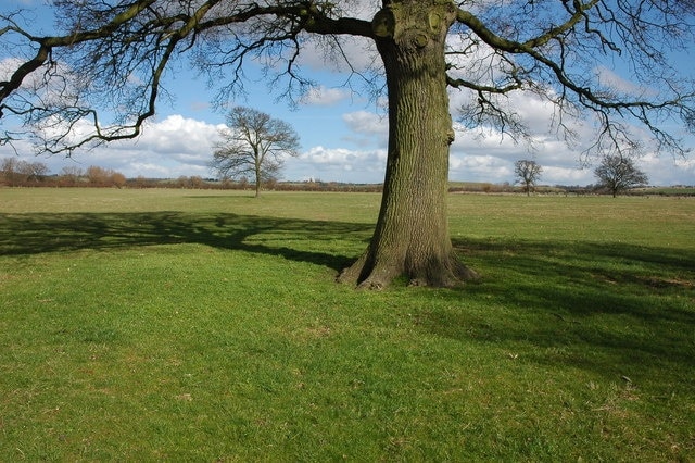 Photo "Longdon" by Philip Halling (CC BY-SA) / Cropped from original