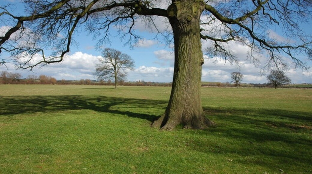 Photo "Longdon" by Philip Halling (CC BY-SA) / Cropped from original