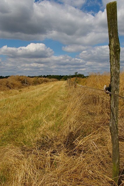 Ảnh "Dengie" của Glyn Baker (CC BY-SA) / Cắt từ ảnh gốc