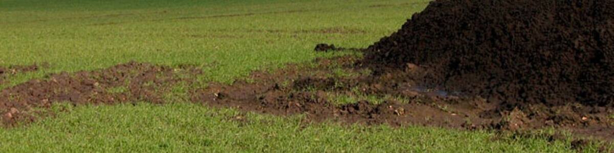 Photo "Fertile fenland north of West Head. The huge grain silos at Manor Farm > 1390197 can be seen in the background. Distances can be very deceiving in the flat fenland: on walking towards an object one soon discovers that what appears to be fairly close is actually quite some distance away. It is about one mile from here to Manor Farm, as the crow flies. This view was taken from a farm track that zig-zags around fields in the fenland north of Hill Farm and is shared by several farmers. This grid square contains not a single building, not even a small shed." by Evelyn Simak (Creative Commons Attribution-Share Alike 2.0) / Cropped from original