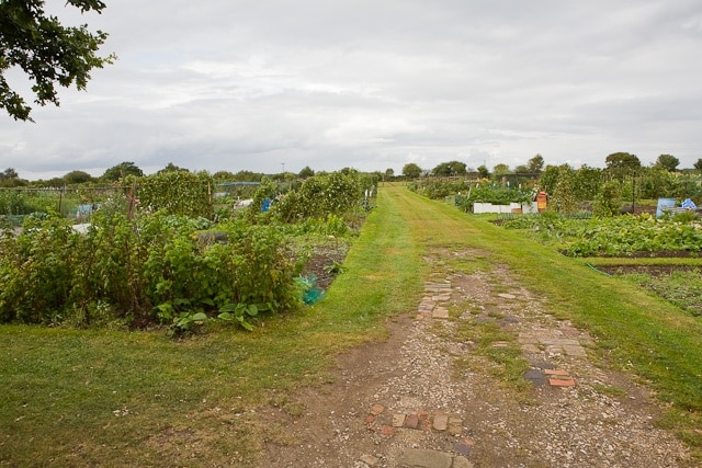 Allotment Gardens Large gardens on north side of Pitmore Lane.