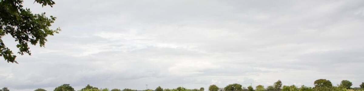 Photo "Allotment Gardens Large gardens on north side of Pitmore Lane." by Peter Facey (Creative Commons Attribution-Share Alike 2.0) / Cropped from original