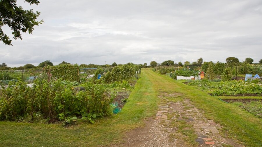 Photo "Allotment Gardens Large gardens on north side of Pitmore Lane." by Peter Facey (Creative Commons Attribution-Share Alike 2.0) / Cropped from original