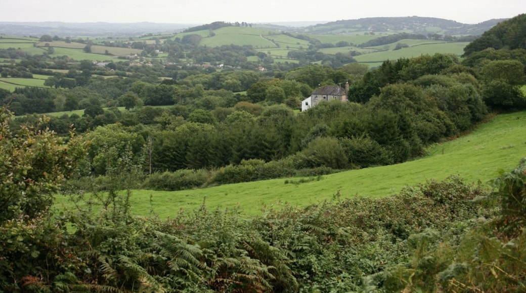Photo "Wootton Fitzpaine" by Adrian Platt (CC BY-SA) / Cropped from original