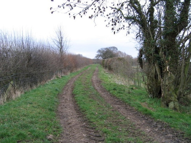 Foto “Healaugh” tomada por DAVID JOHN SHERLOCK (CC BY-SA); recorte de la original