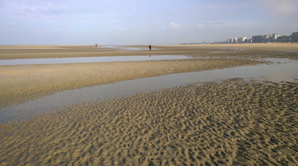 Photo "Le Touquet Beach" by 4net (CC BY) / Cropped from original