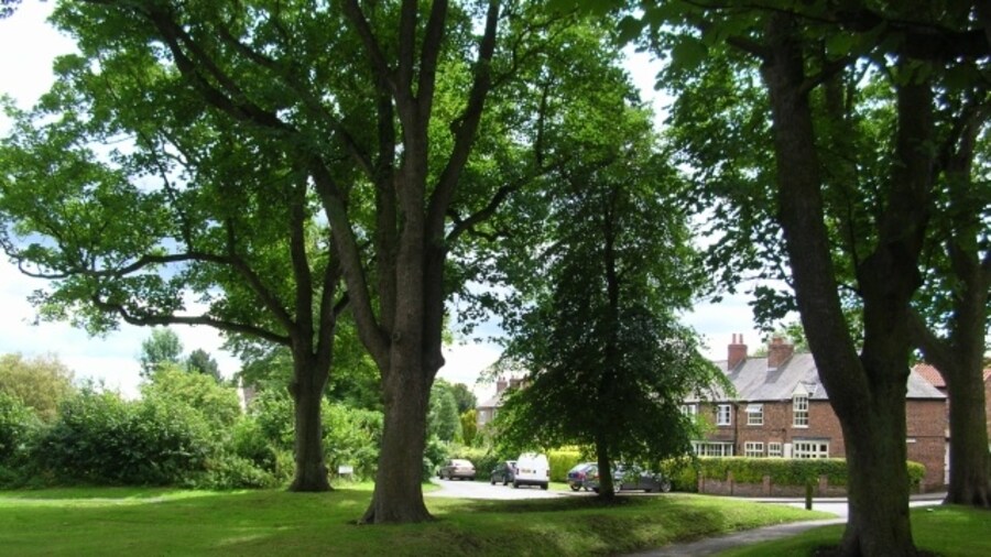 Photo "Village green - Skelton In the centre of Skelton with the church out of shot to the right." by DS Pugh (Creative Commons Attribution-Share Alike 2.0) / Cropped from original