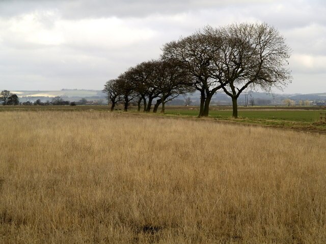 Ảnh "Newport" của Andy Beecroft (CC BY-SA) / Cắt từ ảnh gốc