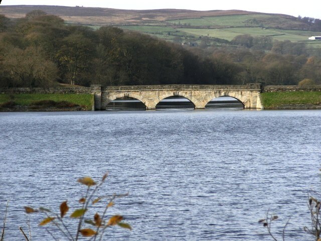 Foto “Lindley” tomada por SMJ (CC BY-SA); recorte de la original