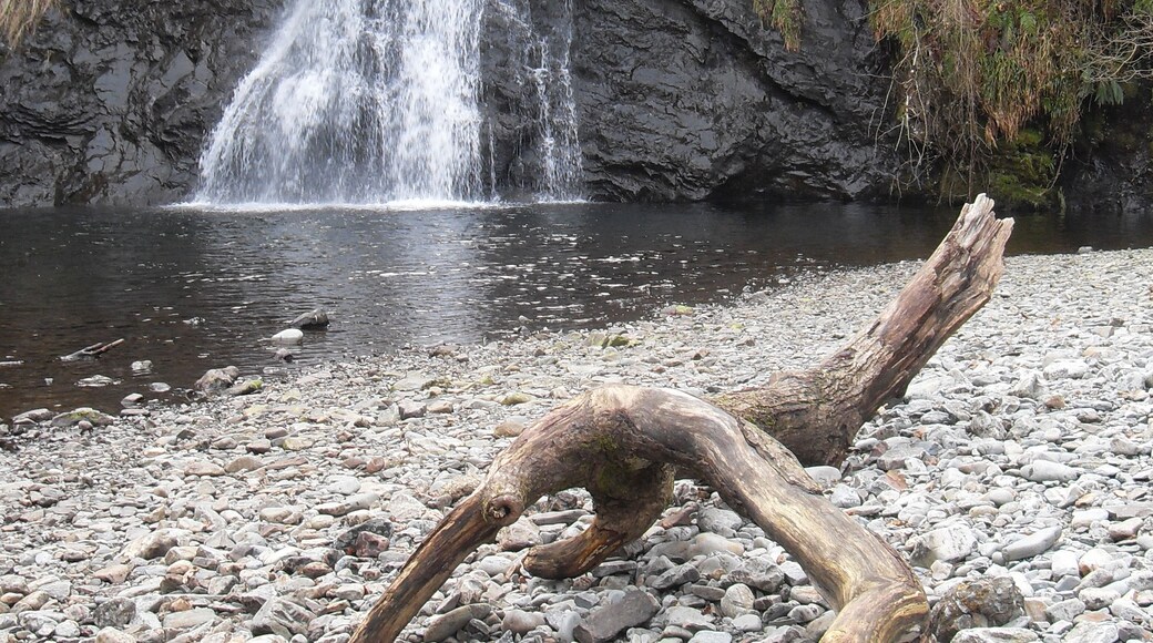 Billede "Ceunant Llennyrch National Nature Reserve" af Keith Ruffles (CC BY) / beskåret fra det originale billede
