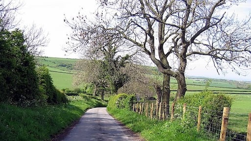 Foto "Cassop-cum-Quarrington" de Roger Smith (CC BY-SA) / Recortada do original