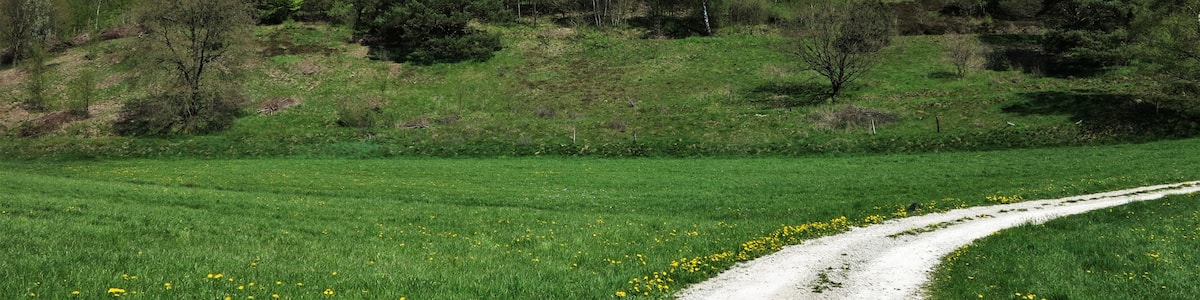Photo "Heidefläche am "Steinbornskopf" nordöstlich von Bracht" by Antchri (page does not exist) (Creative Commons Attribution-Share Alike 4.0) / Cropped from original
