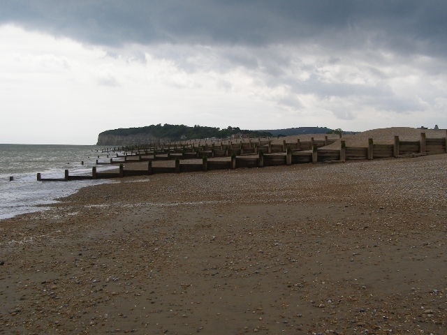 are dogs allowed on pett level beach