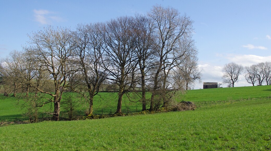 Foto “Scosthrop” tomada por Ian Taylor (CC BY-SA); recorte de la original