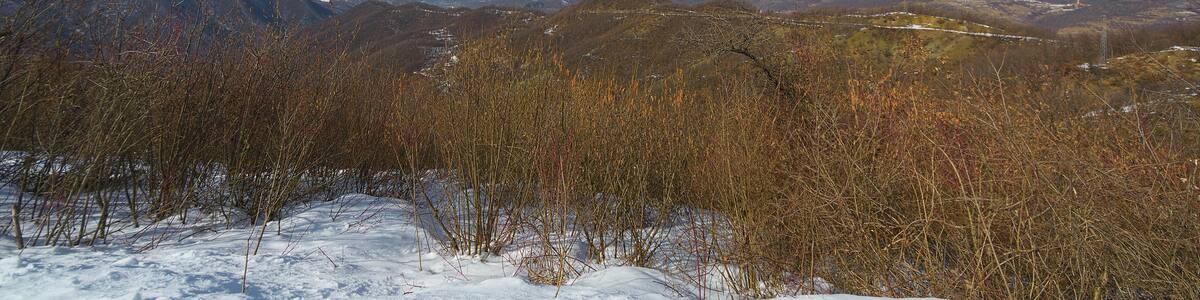 Photo "Panorama" by Terensky (Creative Commons Attribution 3.0) / Cropped from original
