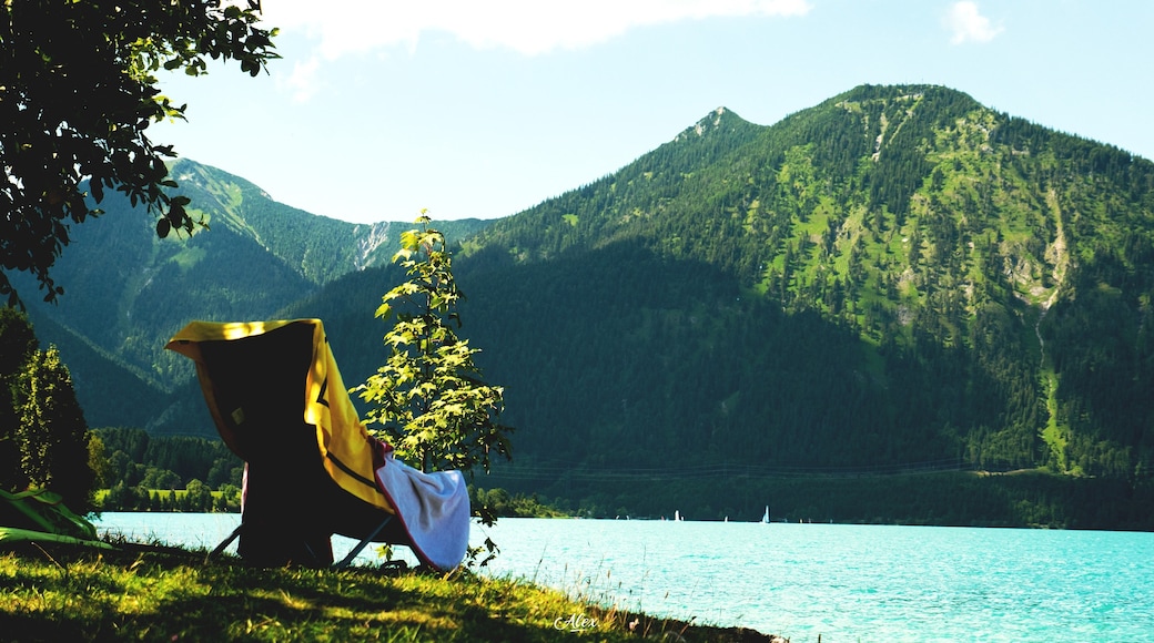 Photo "Walchensee" by Alex La Famee (CC BY) / Cropped from original