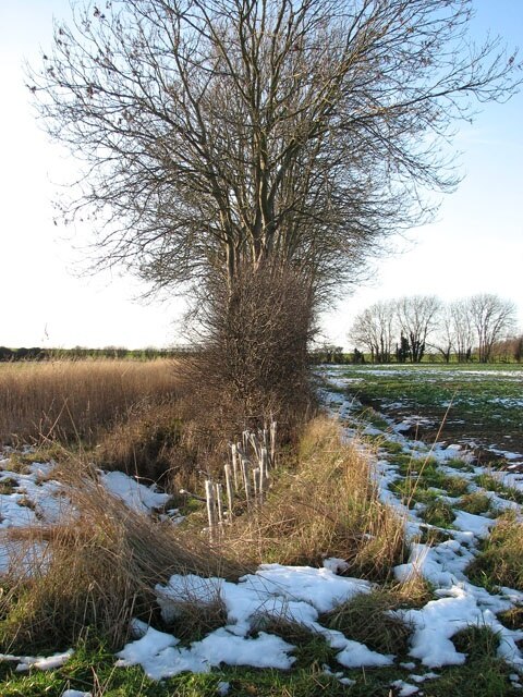 Ảnh "Làng Barton Bendish" của Evelyn Simak (CC BY-SA) / Cắt từ ảnh gốc