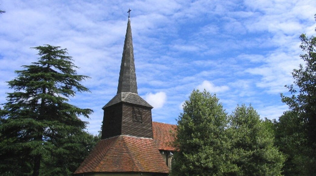 "Navestock"-foto av John Winfield (CC BY-SA) / Urklipp från original