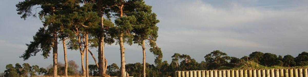 Photo "Cross-country training ground, Herringswell This field west of Herringswell village is laid out with jumps for training horses in cross-country events." by Bob Jones (Creative Commons Attribution-Share Alike 2.0) / Cropped from original