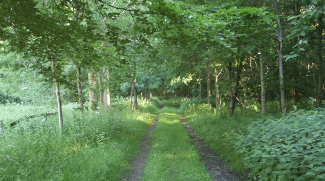 "Ashton"-foto av Michael Trolove (CC BY-SA) / Urklipp från original