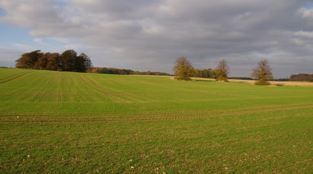 Kuva ”Brocklesby” käyttäjältä David Wright (CC BY-SA) / rajattu alkuperäisestä kuvasta