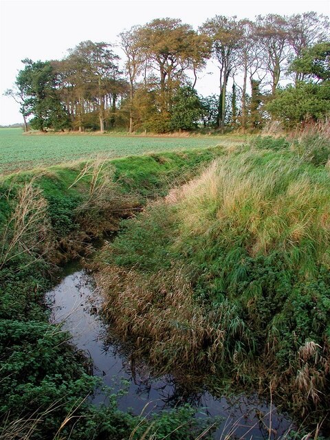 Photo "Elstronwick" by Paul Glazzard (CC BY-SA) / Cropped from original