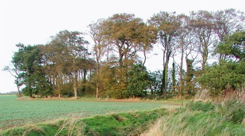 Photo "Elstronwick" by Paul Glazzard (CC BY-SA) / Cropped from original