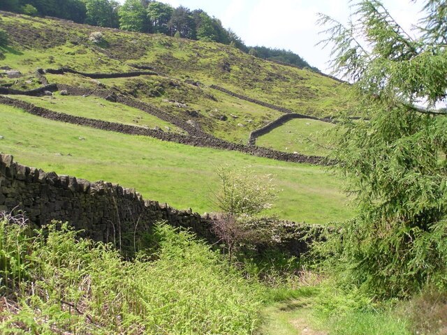 Foto “Steeton y Eastburn” tomada por John Readman (CC BY-SA); recorte de la original