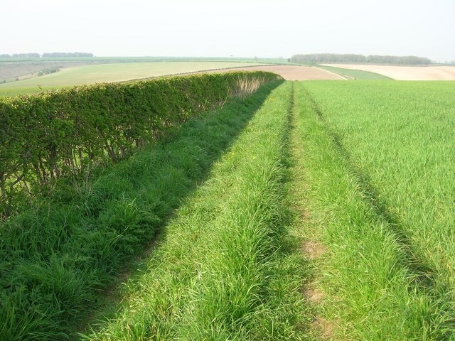 Photo "Cottam" by JThomas (CC BY-SA) / Cropped from original