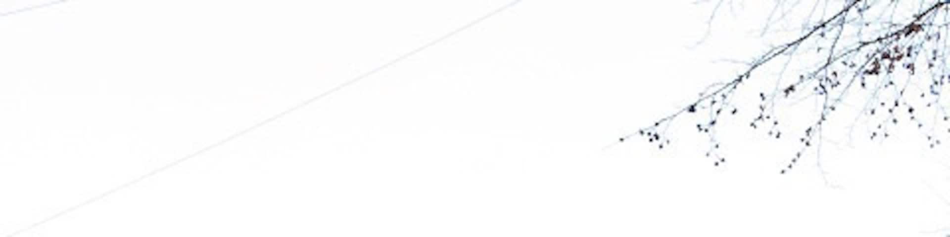 View east along Church Street After a cold night of strong winds and some snowfalls the road is icy.