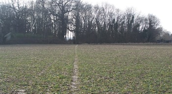 Footpath to Madam Wood Path from Downs Road,near Northfleet Green Farm leads through field and woodland to New Barn Road.